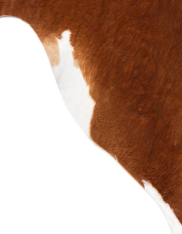 Detail image of 6' 1 x 7' Cowhide Leather Rug