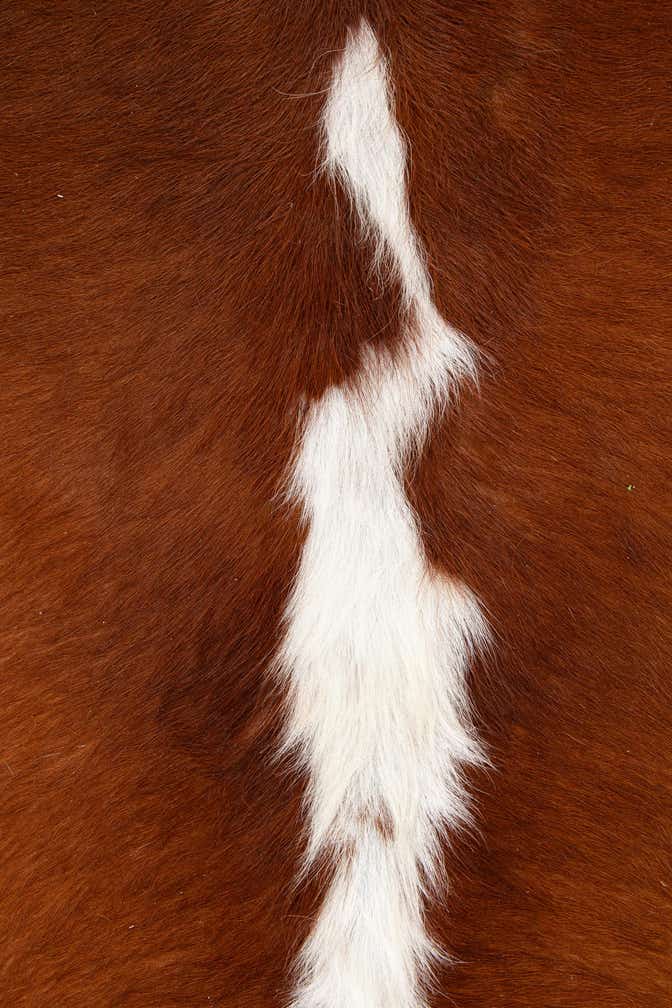 6' 1 x 7' Cowhide Leather Rug