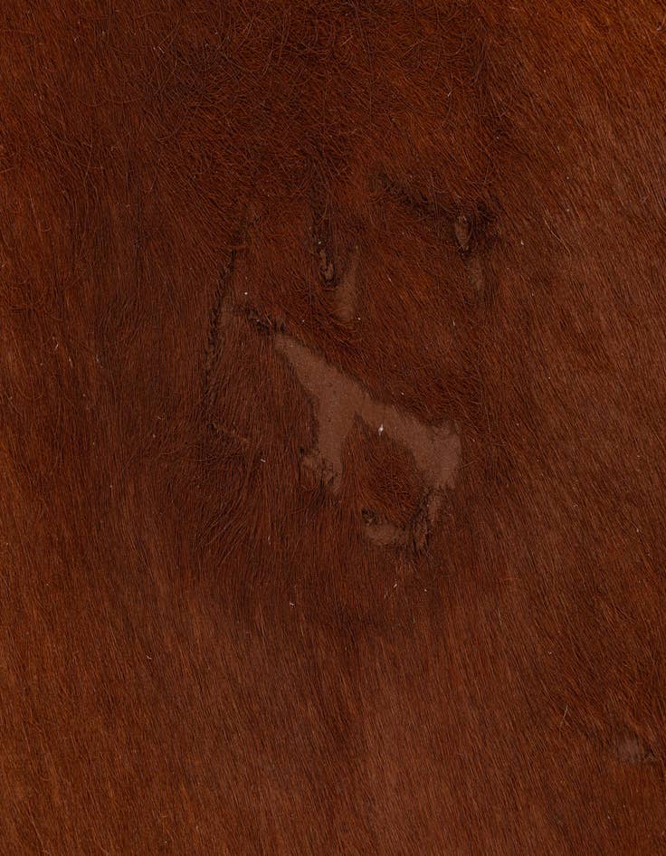 Detail image of 5' 7 x 6' 5 Cowhide Leather Rug