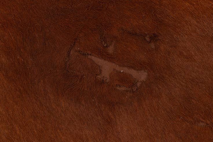 Detail image of 5' 7 x 6' 5 Cowhide Leather Rug