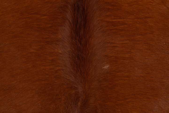 5' 1 x 5' 10 Cowhide Leather Rug