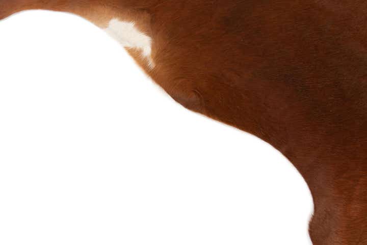 5' 3 x 5' 7 Cowhide Leather Rug