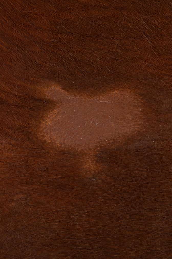 5' 3 x 5' 7 Cowhide Leather Rug