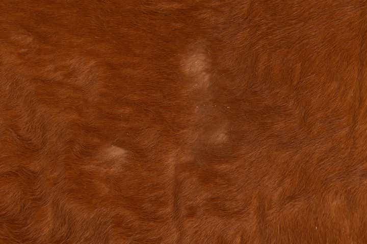 4' 8 x 6' 1 Cowhide Leather Rug