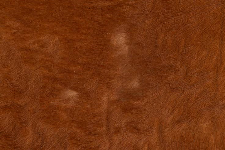 Detail image of 4' 8 x 6' 1 Cowhide Leather Rug