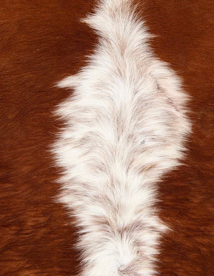 Detail image of 5' 4 x 6' 1 Cowhide Leather Rug
