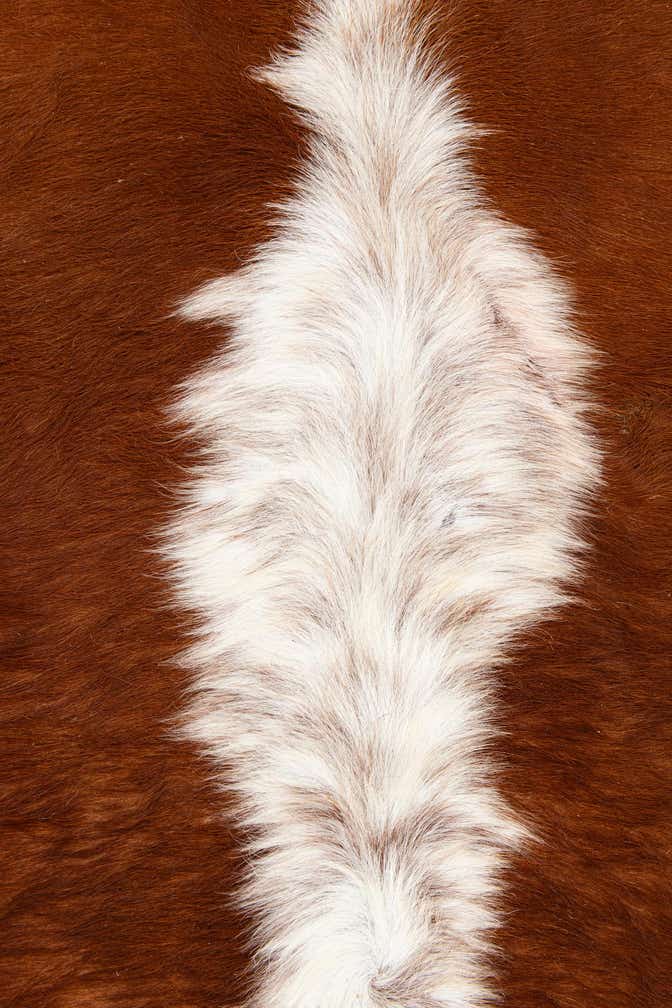 5' 4 x 6' 1 Cowhide Leather Rug