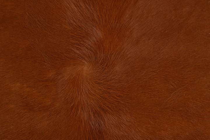 5' x 6' Cowhide Leather Rug
