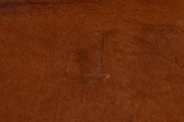 5' 8 x 6' 5 Cowhide Leather Rug