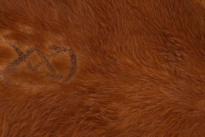 5' x 5' 7 Cowhide Leather Rug