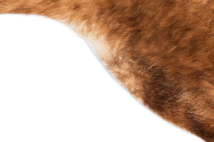 5' 5 x 5' 11 Cowhide Leather Rug