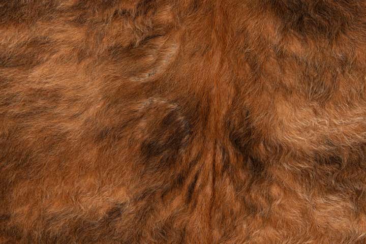 5' 5 x 5' 11 Cowhide Leather Rug
