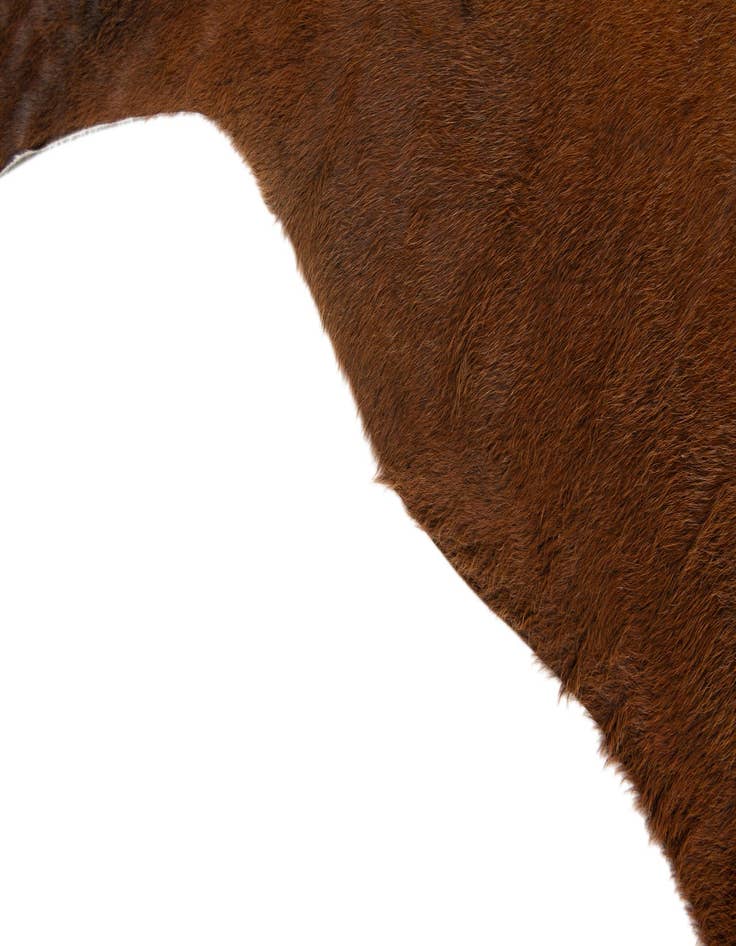 Detail image of 5' 11 x 6' 9 Cowhide Leather Rug