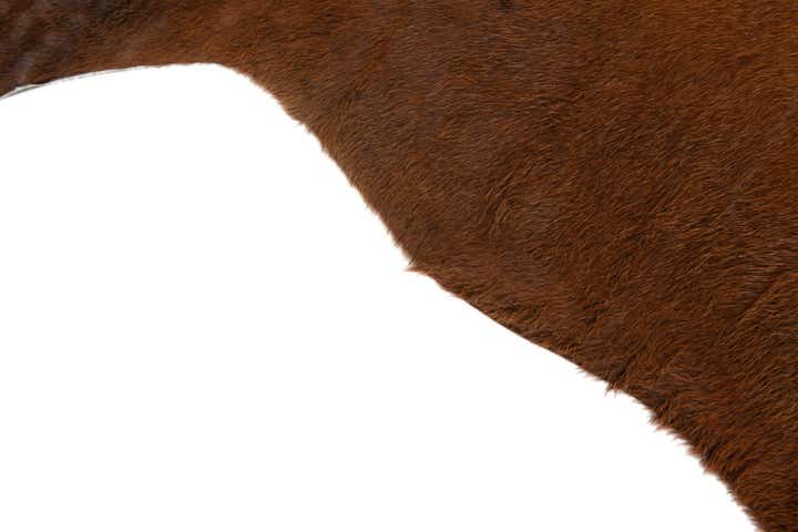 5' 11 x 6' 9 Cowhide Leather Rug