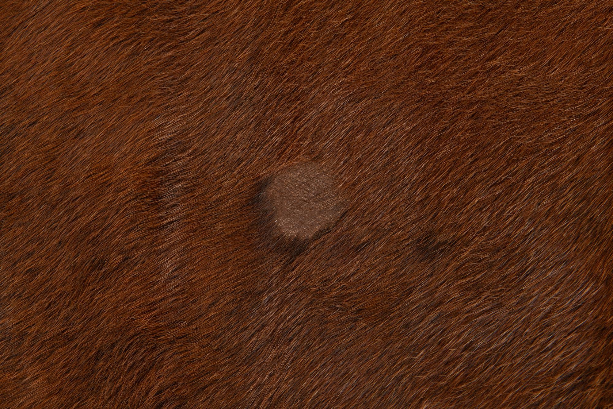 5' 11 x 6' 9 Cowhide Leather Rug