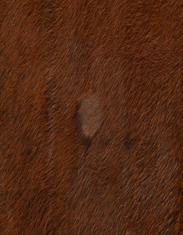 Detail image of 5' 11 x 6' 9 Cowhide Leather Rug
