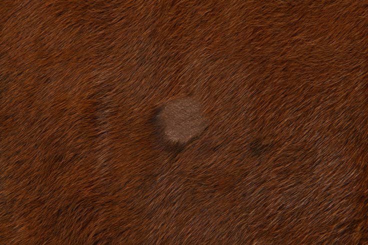 Detail image of 5' 11 x 6' 9 Cowhide Leather Rug