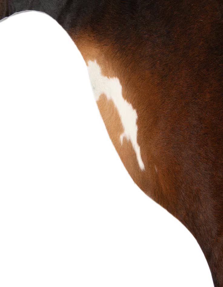 Detail image of 6' 5 x 7' 1 Cowhide Leather Rug