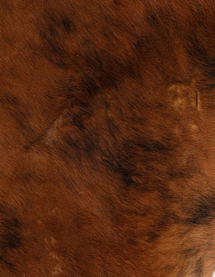 Detail image of 5' 11 x 7' 1 Cowhide Leather Rug