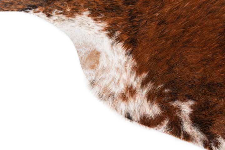 6' 2 x 7' Cowhide Leather Rug