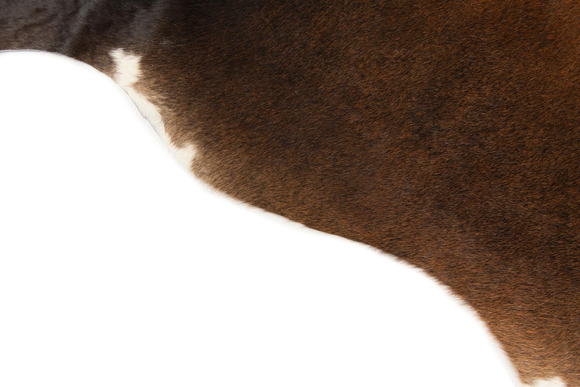 5' 9 x 6' 6 Cowhide Leather Rug