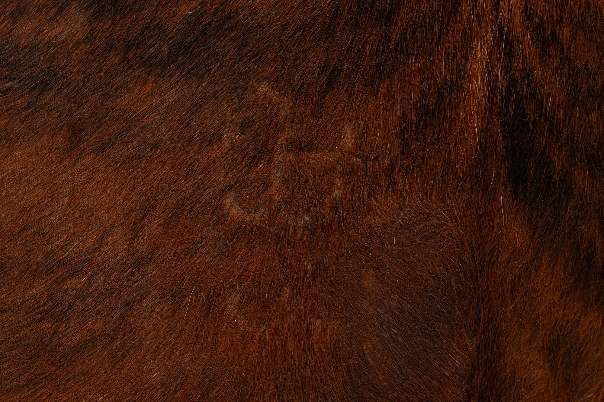 5' 1 x 5' 11 Cowhide Leather Rug