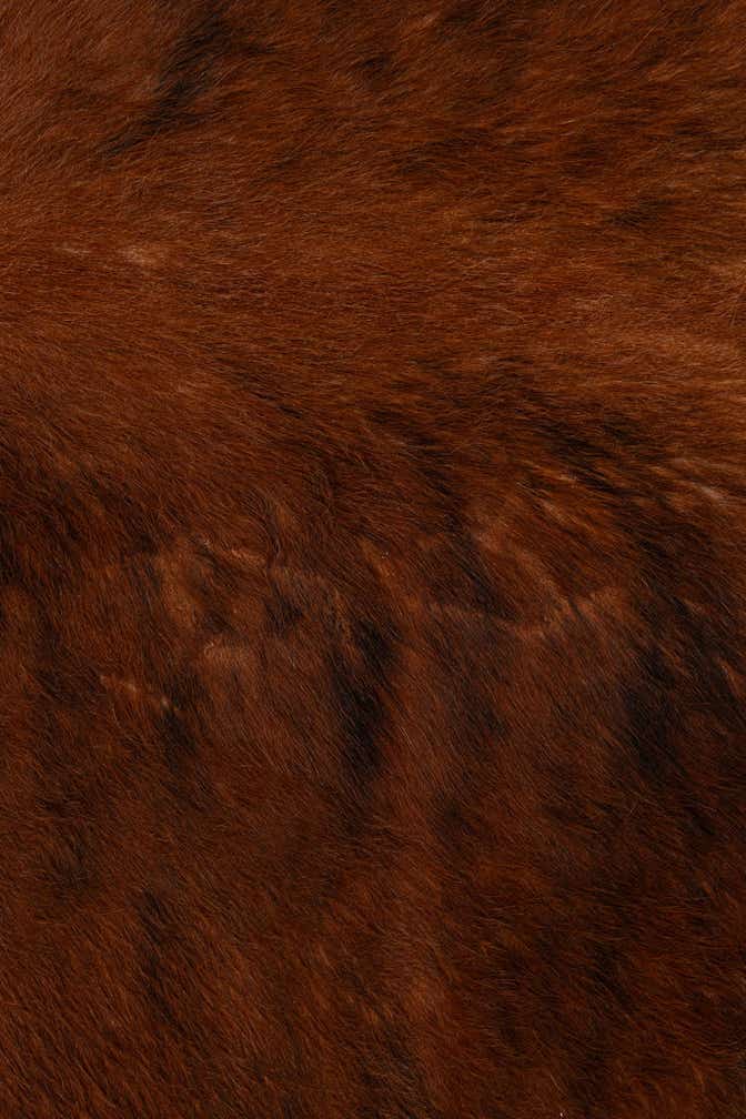 5' 11 x 6' 9 Cowhide Leather Rug