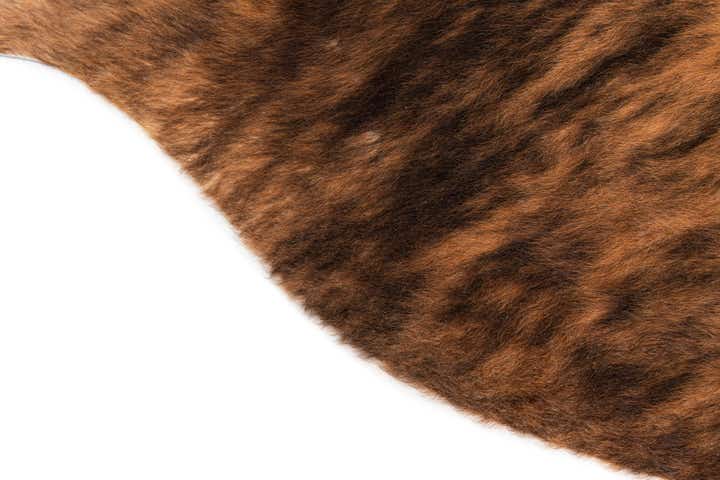 5' 3 x 6' 2 Cowhide Leather Rug