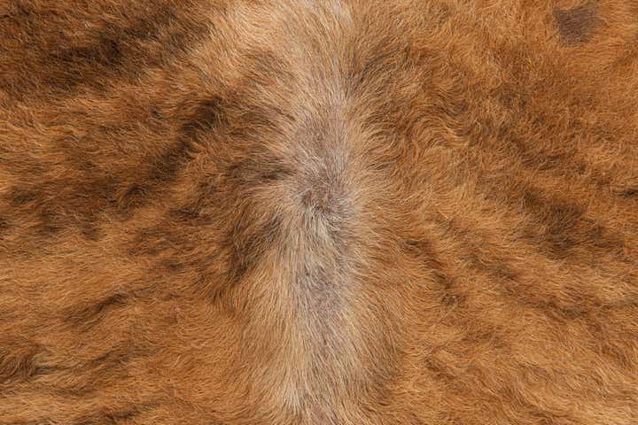 4' 8 x 5' 4 Cowhide Leather Rug