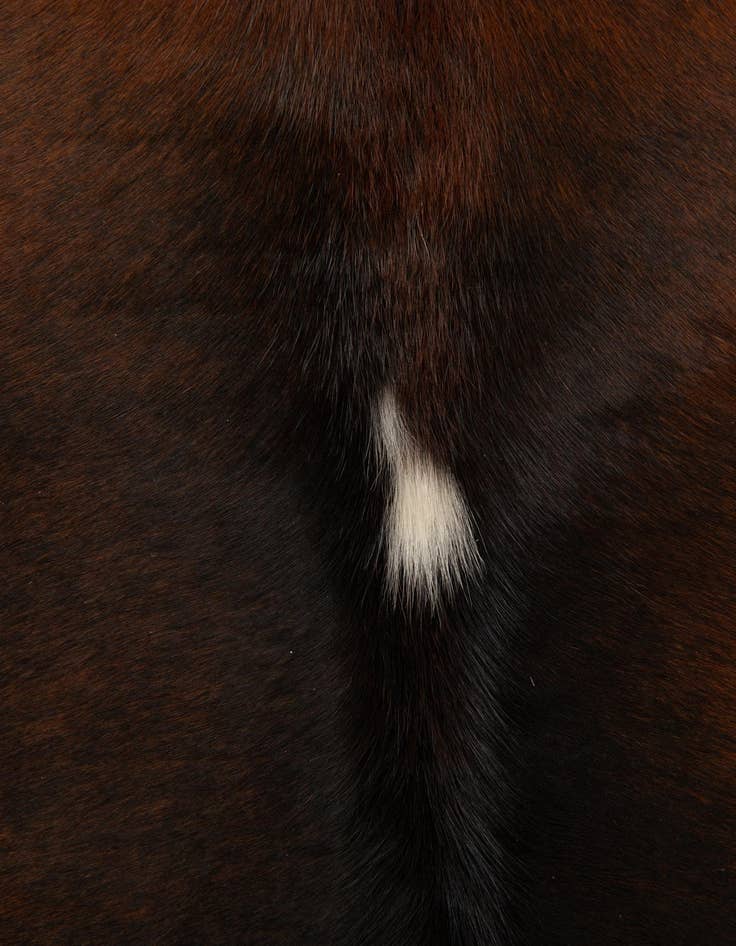 Detail image of 4' 4 x 5' 1 Cowhide Leather Rug