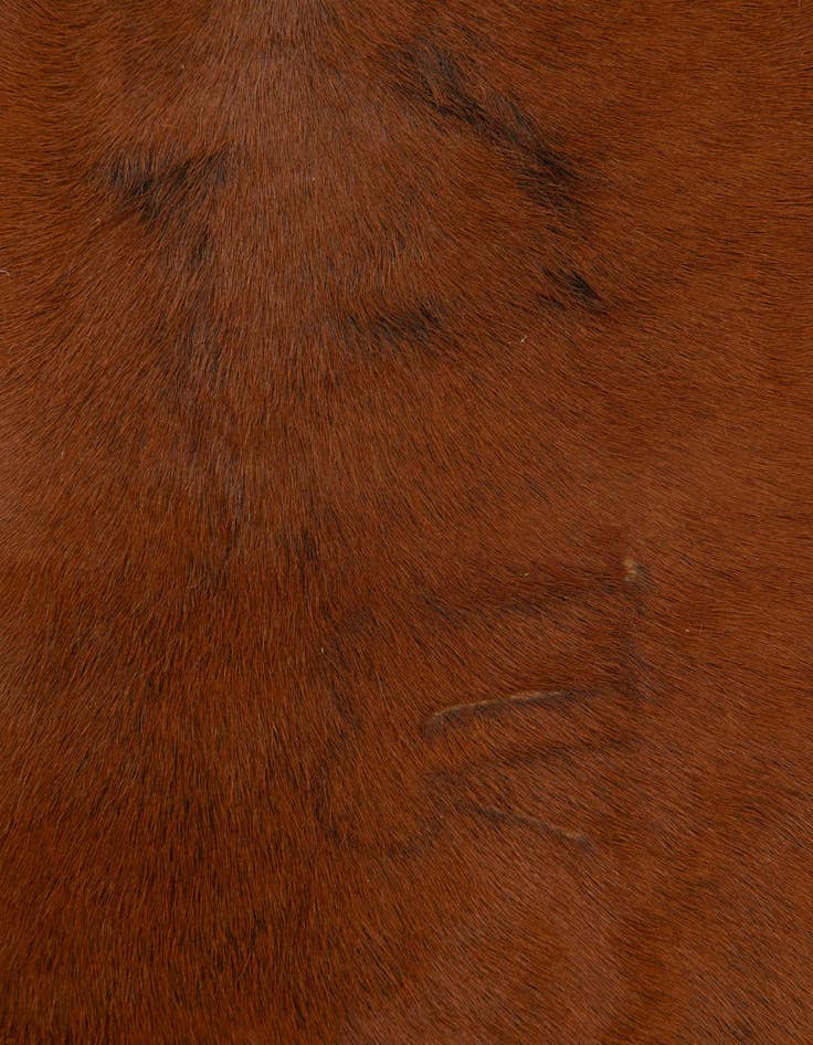 Detail image of 4' 4 x 5' 1 Cowhide Leather Rug