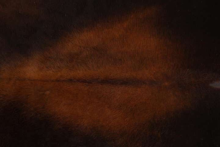 6' 6 x 7' 4 Cowhide Leather Rug