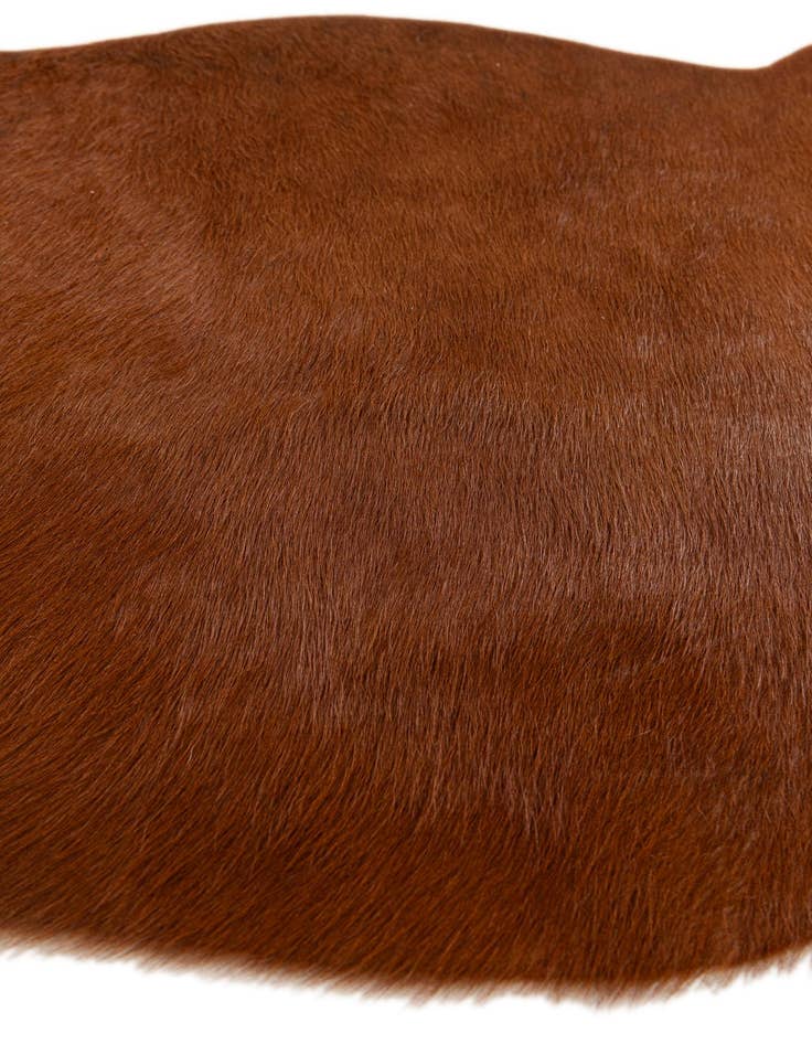 Detail image of 2' 2 x 2' 11 Cowhide Leather Rug