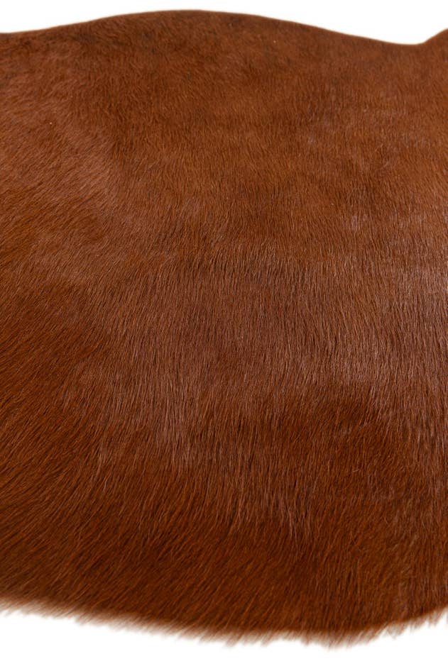 Detail image of 2' 2 x 2' 11 Cowhide Leather Rug