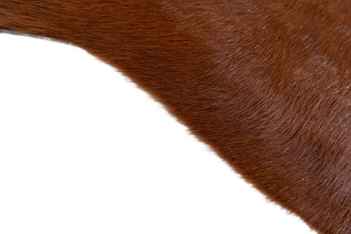 2' 2 x 2' 11 Cowhide Leather Rug