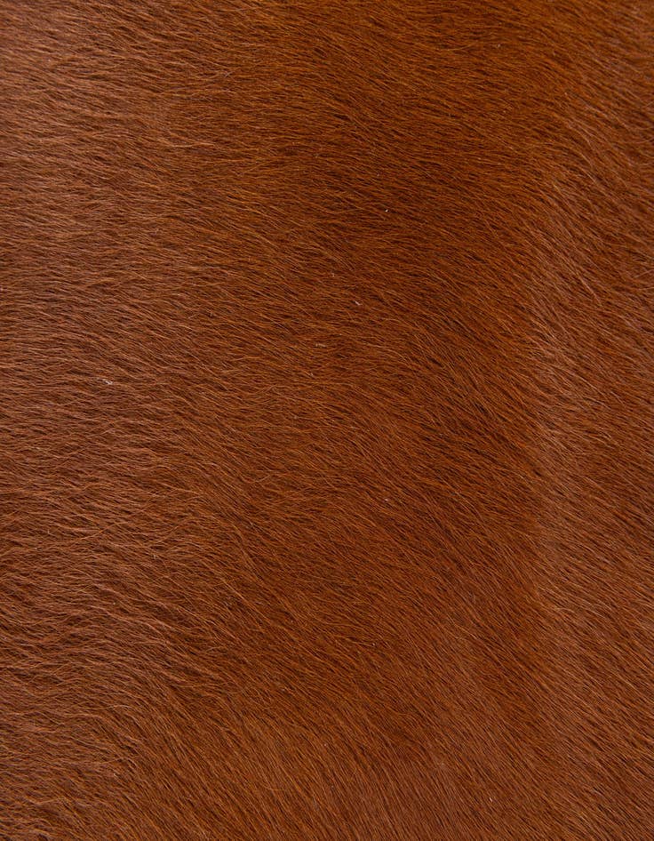 Detail image of 2' 2 x 2' 11 Cowhide Leather Rug