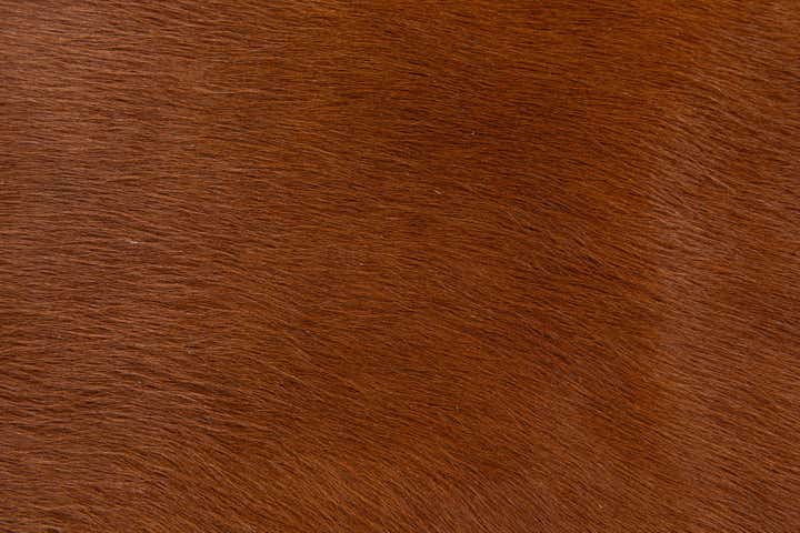 2' 2 x 2' 11 Cowhide Leather Rug