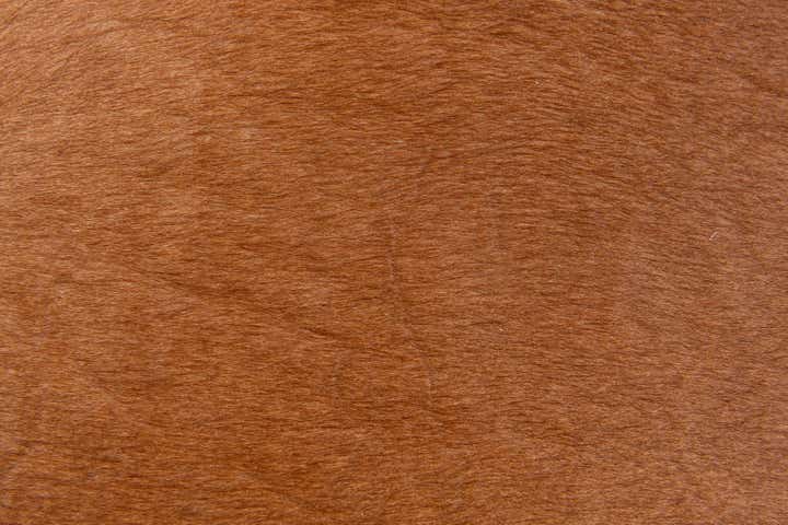 2' 2 x 2' 11 Cowhide Leather Rug