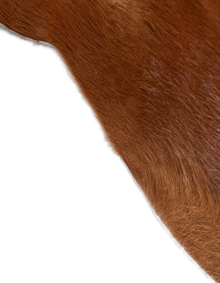 Detail image of 2' 2 x 2' 11 Cowhide Leather Rug