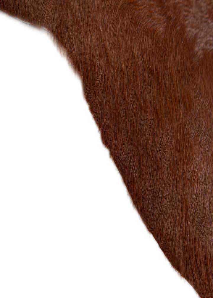 2' 2 x 2' 11 Cowhide Leather Rug