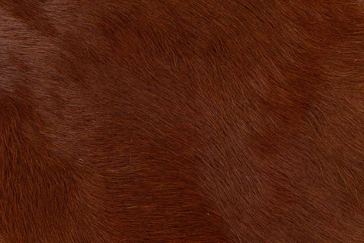 2' 2 x 2' 11 Cowhide Leather Rug