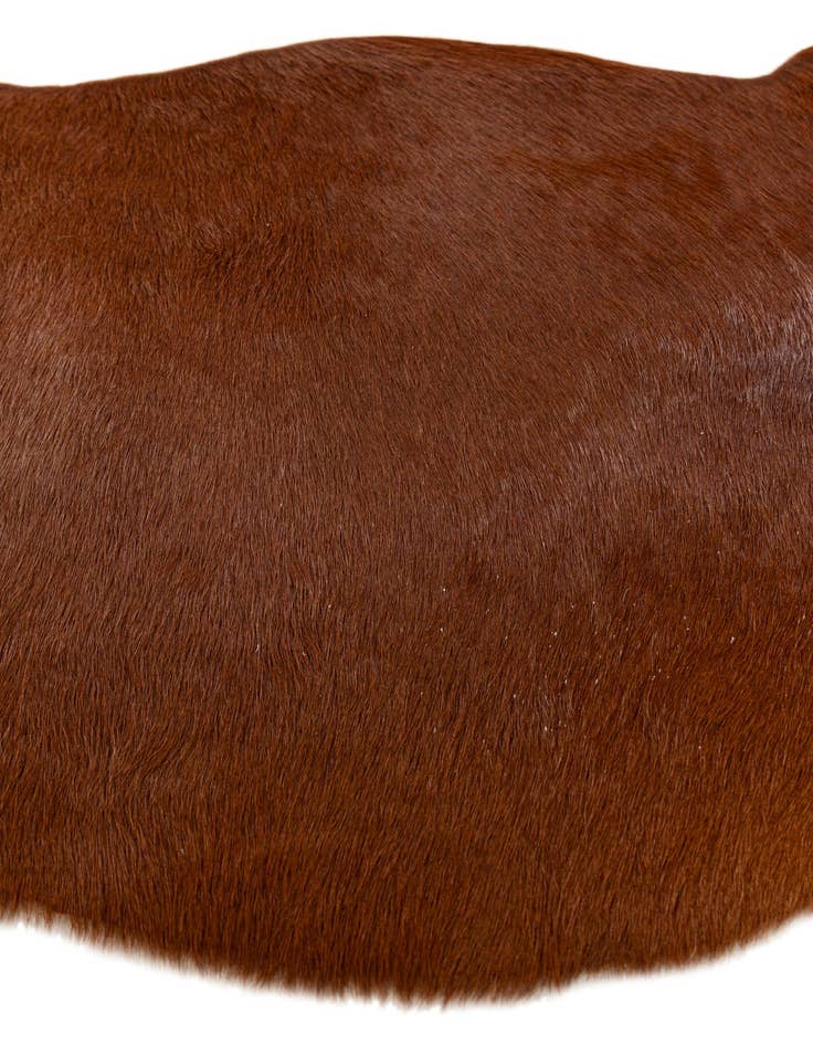 Detail image of 2' 2 x 2' 11 Cowhide Leather Rug