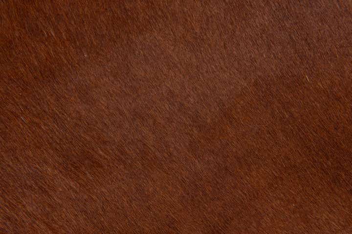 2' 2 x 2' 11 Cowhide Leather Rug
