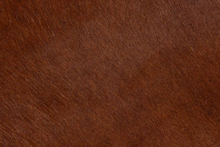 Detail image of 2' 2 x 2' 11 Cowhide Leather Rug