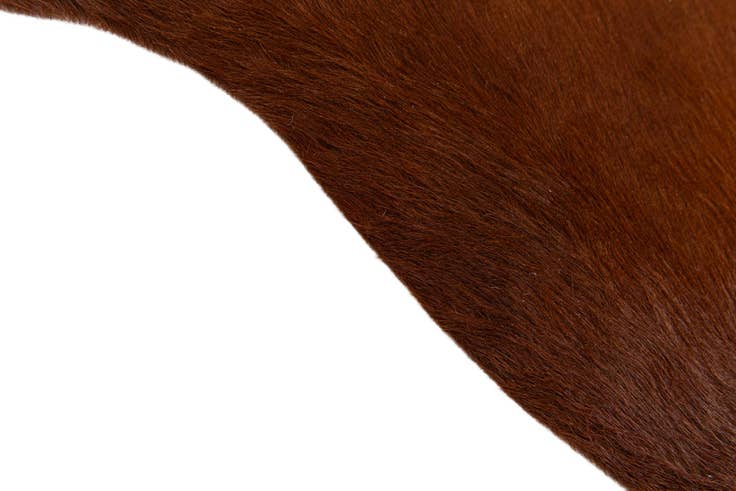 Detail image of 2' 2 x 2' 11 Cowhide Leather Rug