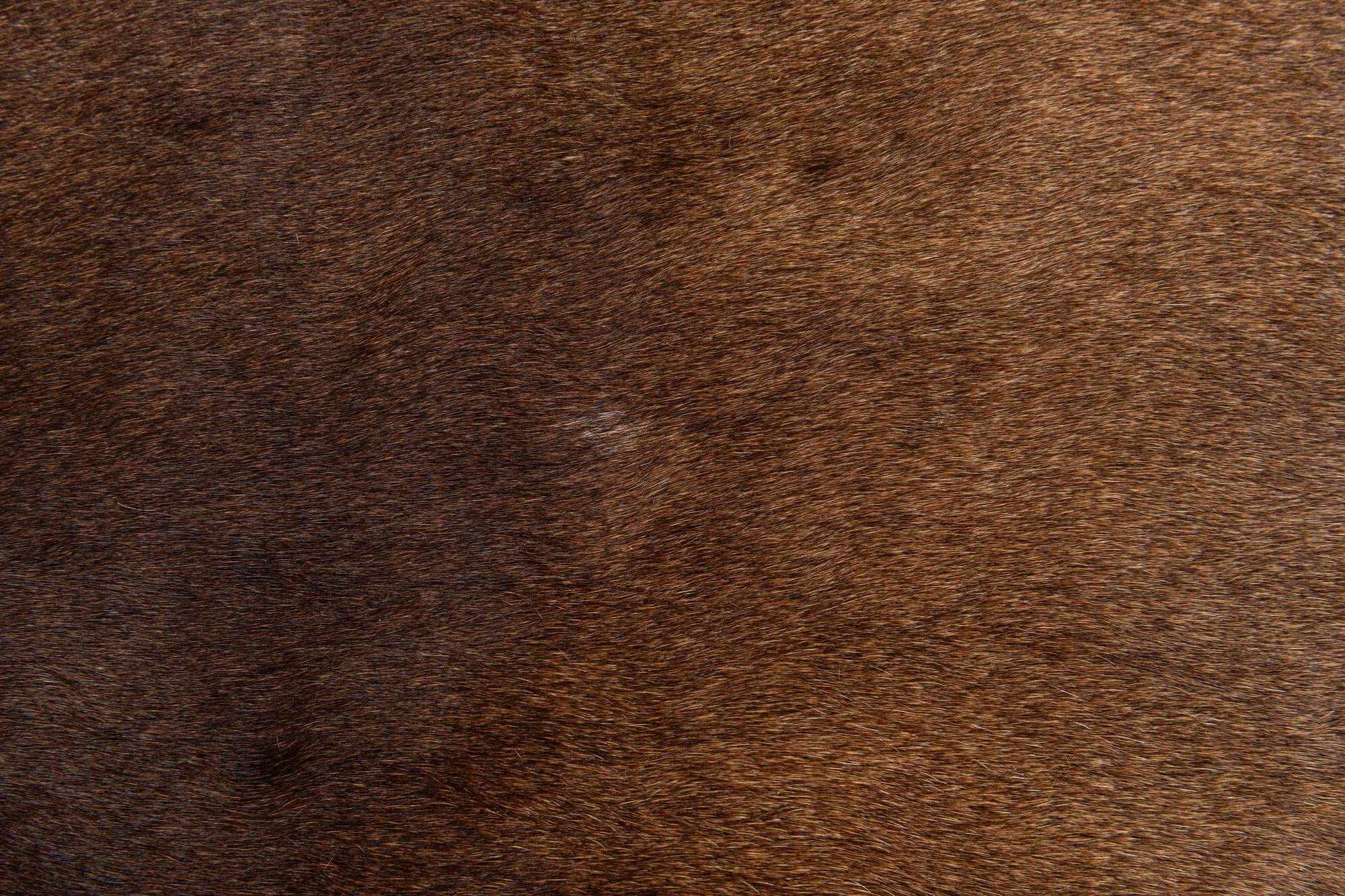 2' 2 x 2' 11 Cowhide Leather Rug