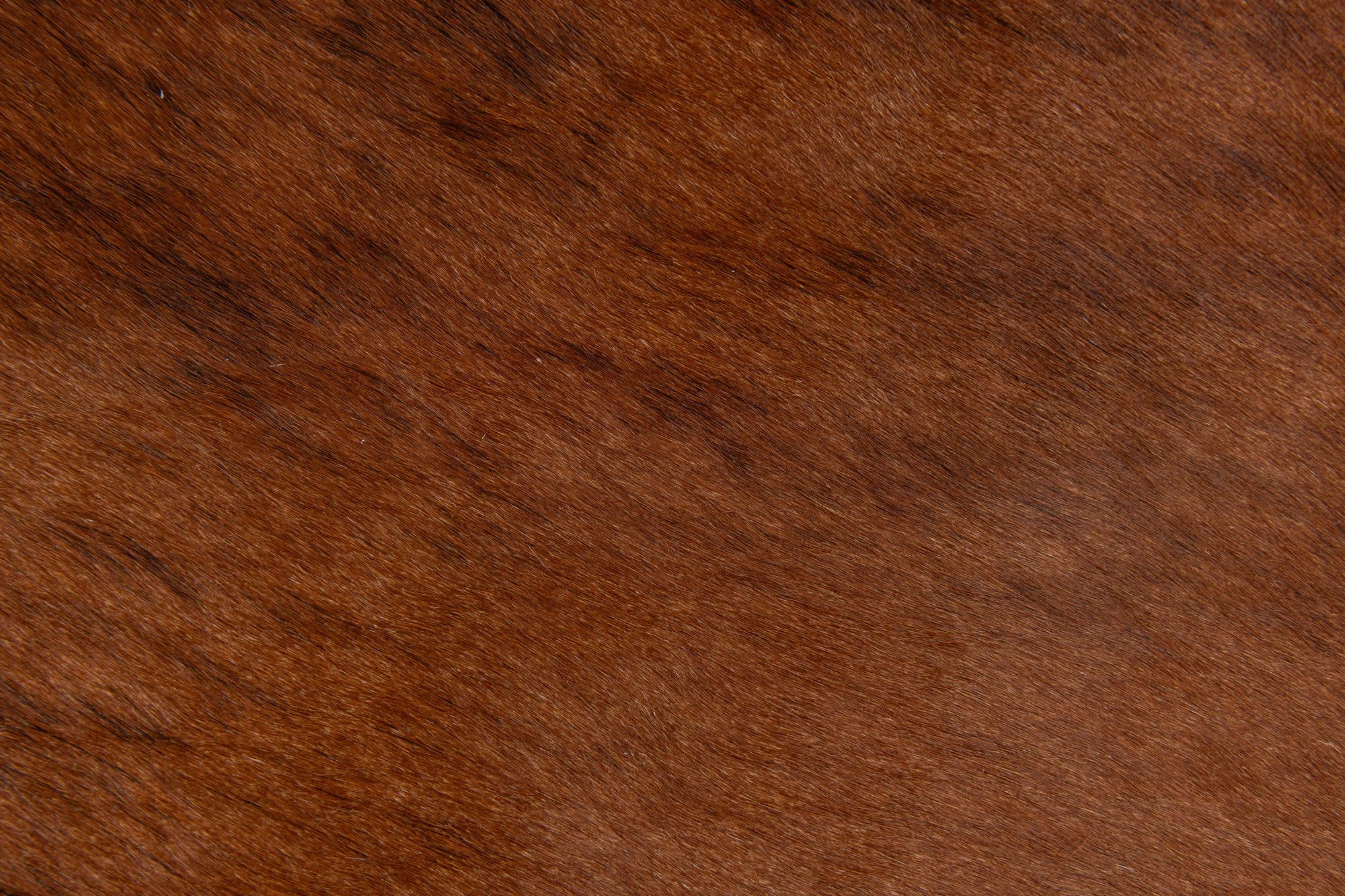 2' 2 x 2' 11 Cowhide Leather Rug