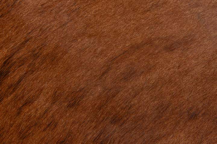 2' 2 x 2' 11 Cowhide Leather Rug