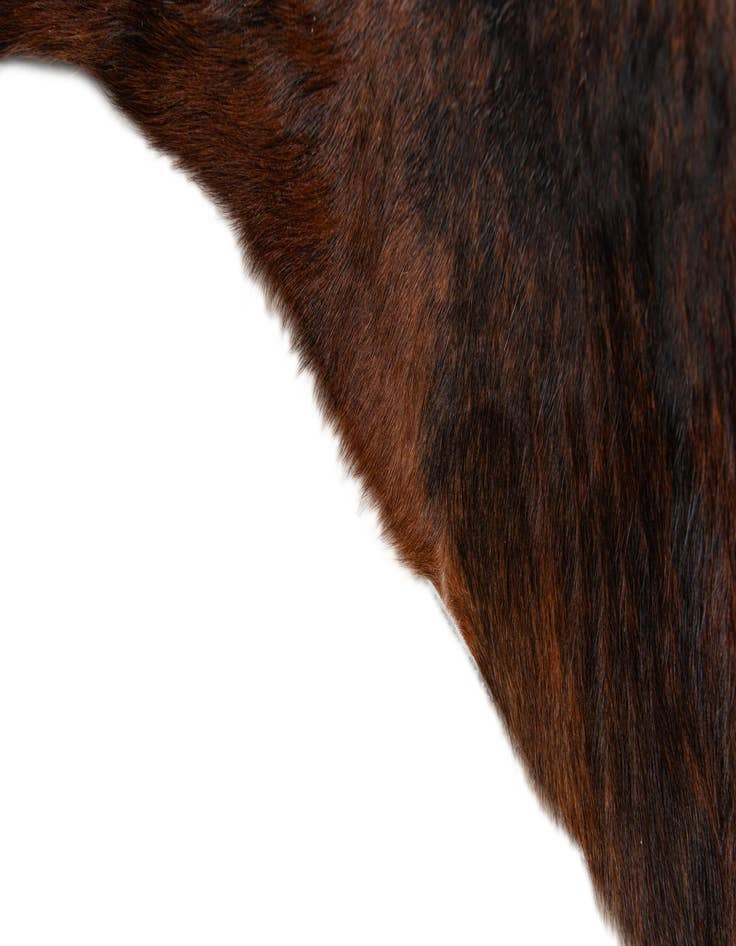 Detail image of 2' 2 x 2' 11 Cowhide Leather Rug