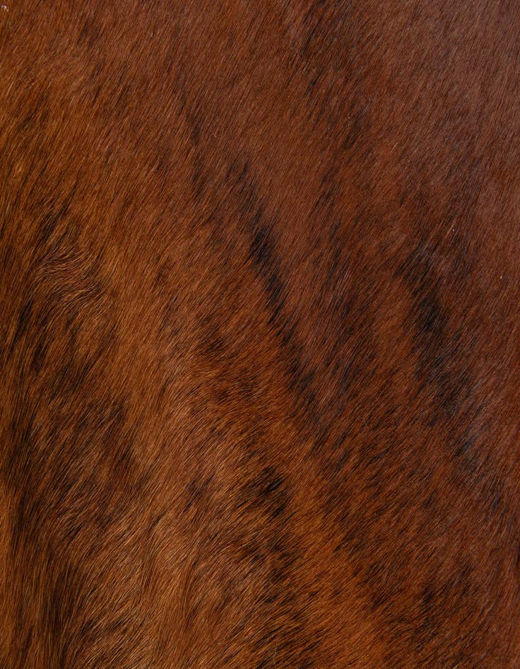 Detail image of 1' 8 x 2' 6 Cowhide Leather Rug